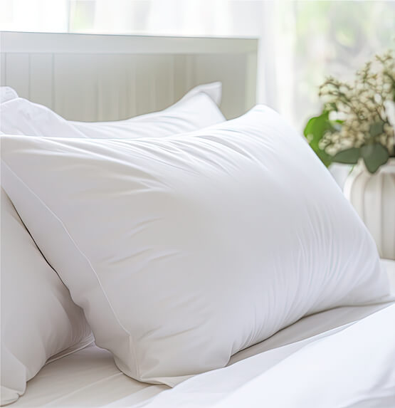 Shop Summer Pillows